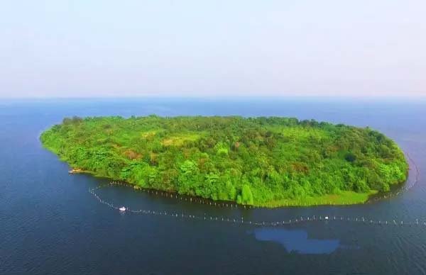 Pathiramanal Island